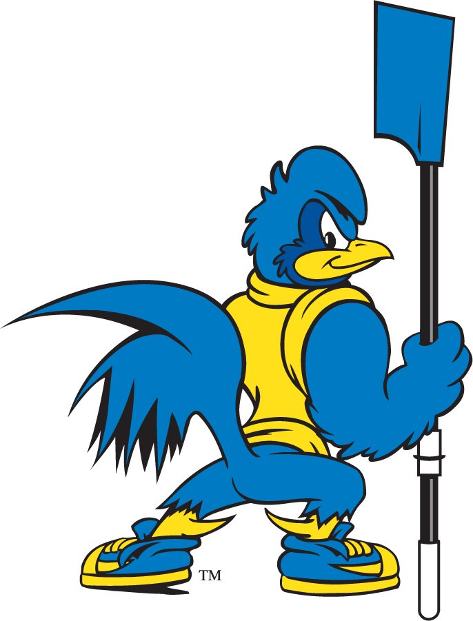 Delaware Blue Hens 1999-2009 Mascot Logo DIY iron on transfer (heat transfer)
